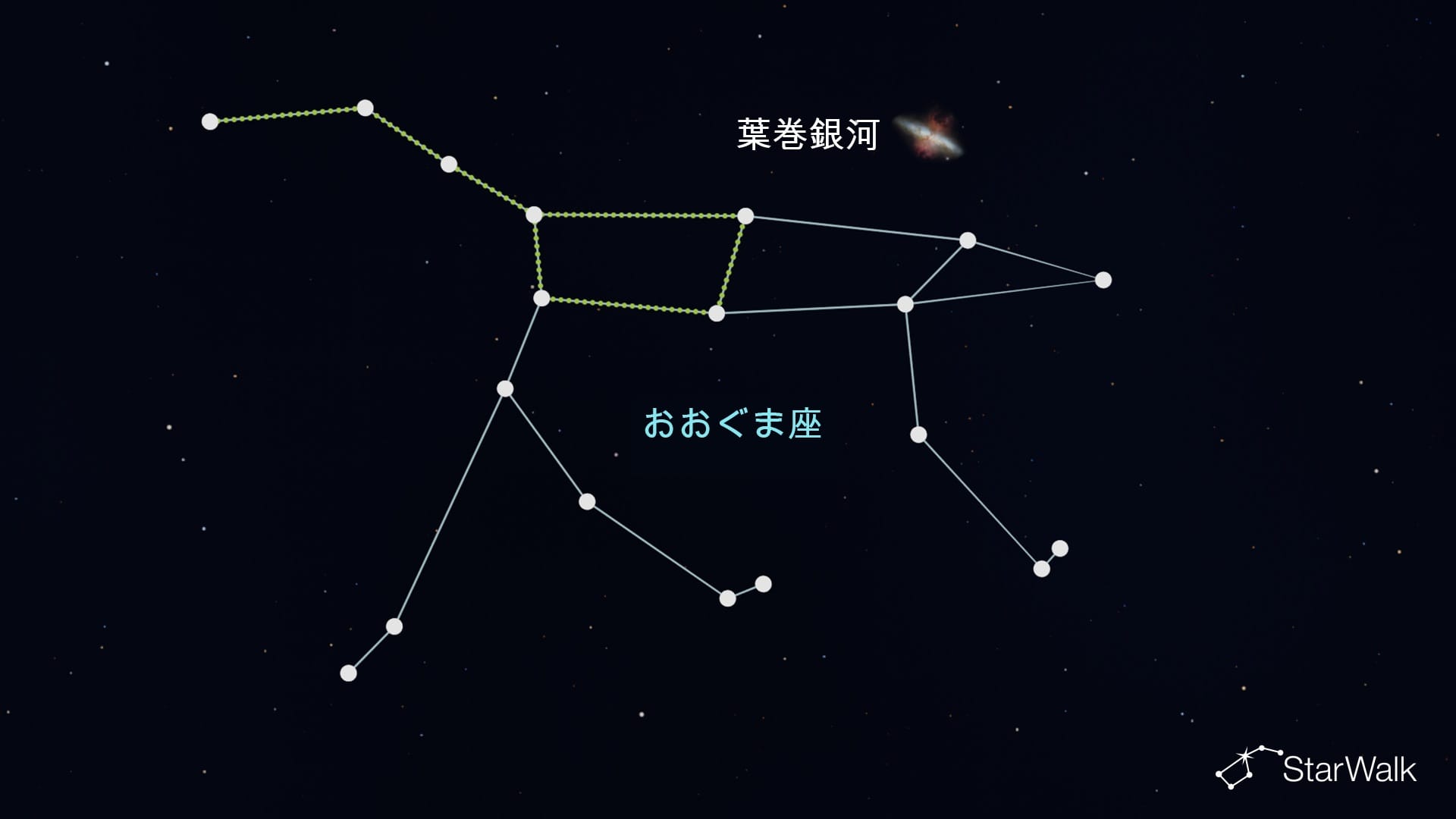 おおぐま座の葉巻銀河