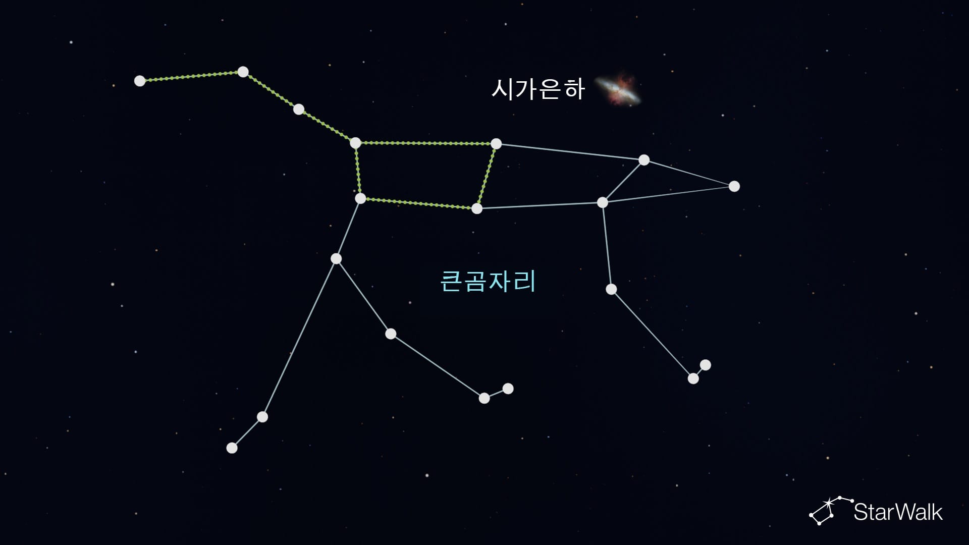 큰곰자리의 시가 은하