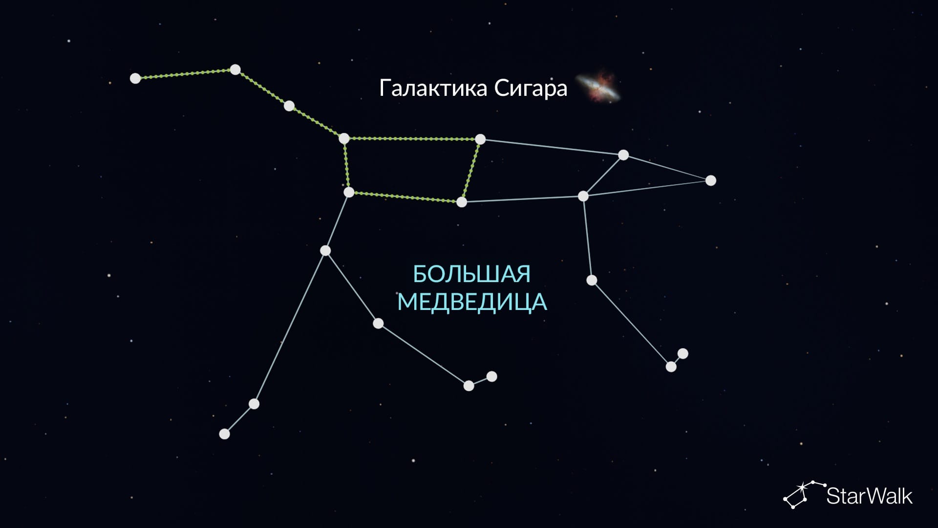 Галактика Сигара в Большой Медведице
