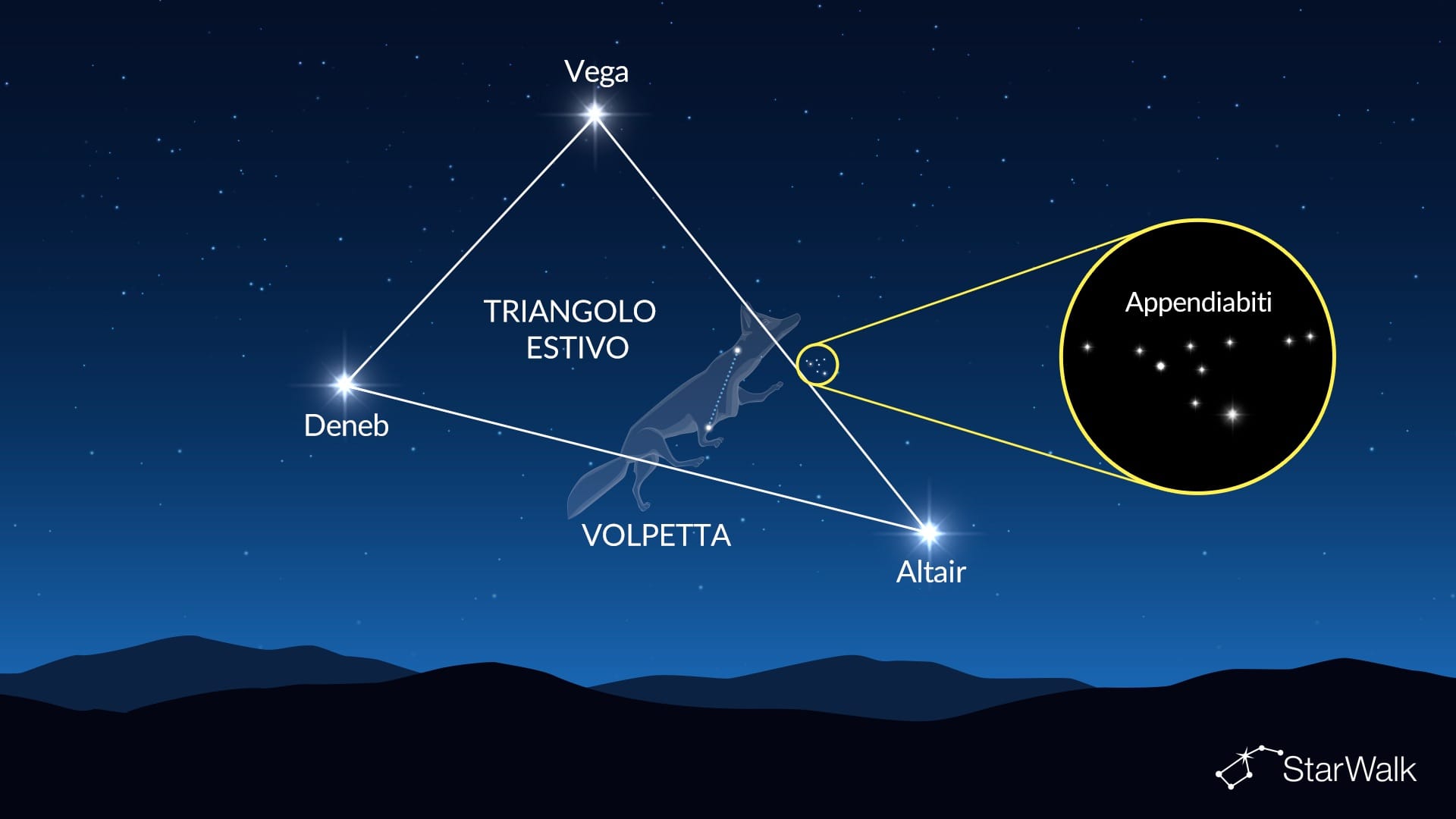 L’Appendiabiti nella Volpetta