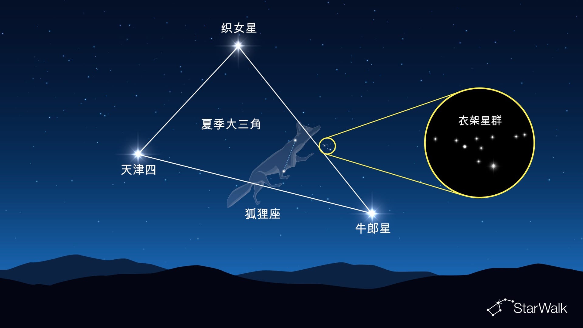 狐狸座中的衣架星群