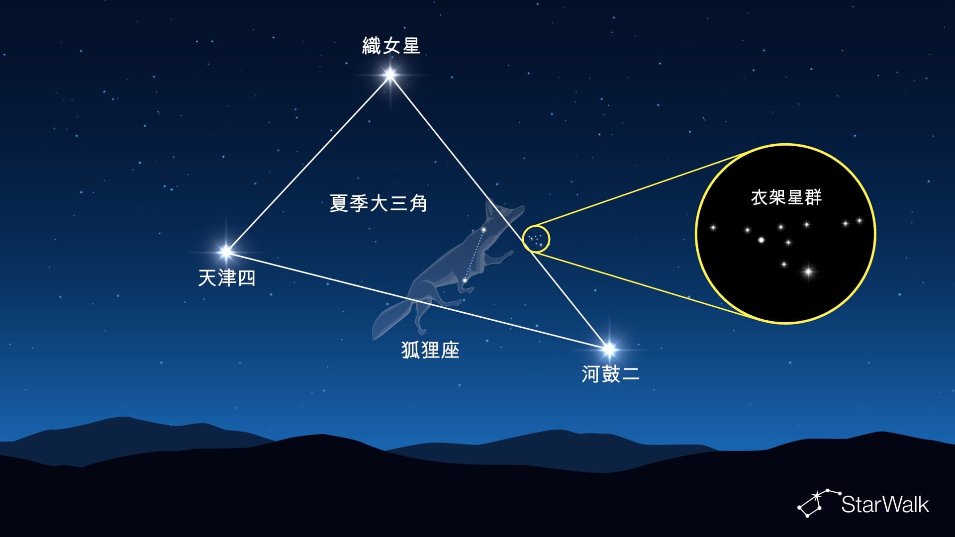 狐狸座中的衣架星羣
