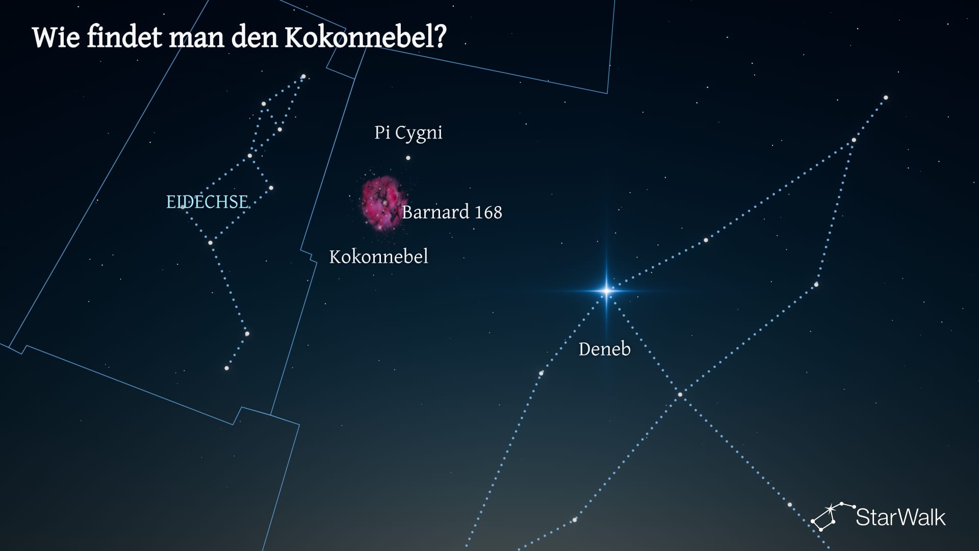 Kokonnebel – So finden Sie ihn