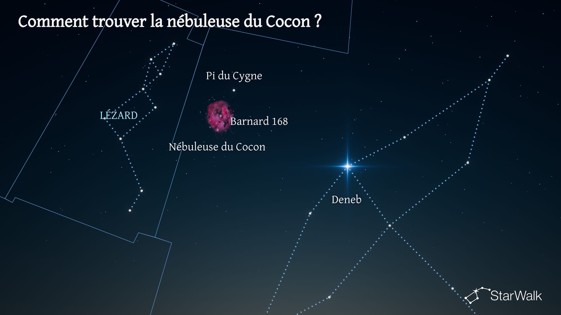 Nébuleuse du Cocon — Comment la trouver