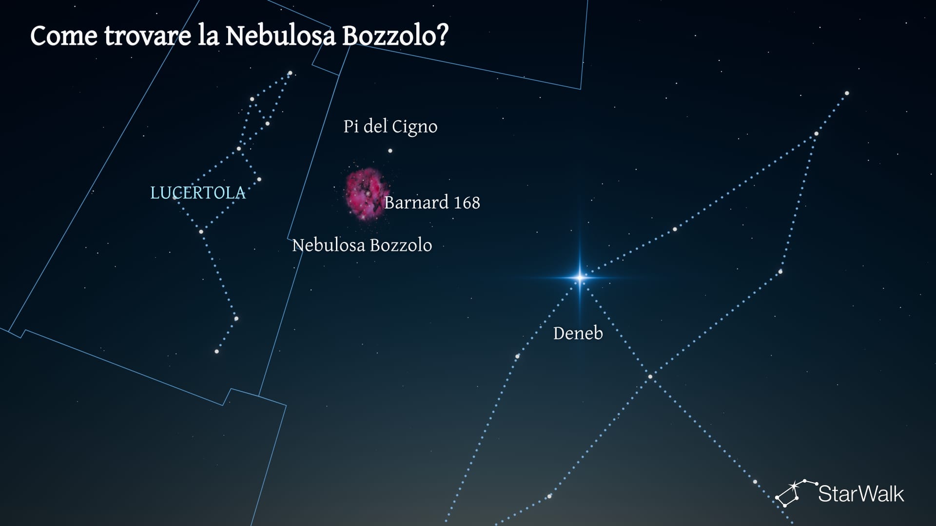 Nebulosa Bozzolo — Come trovarla