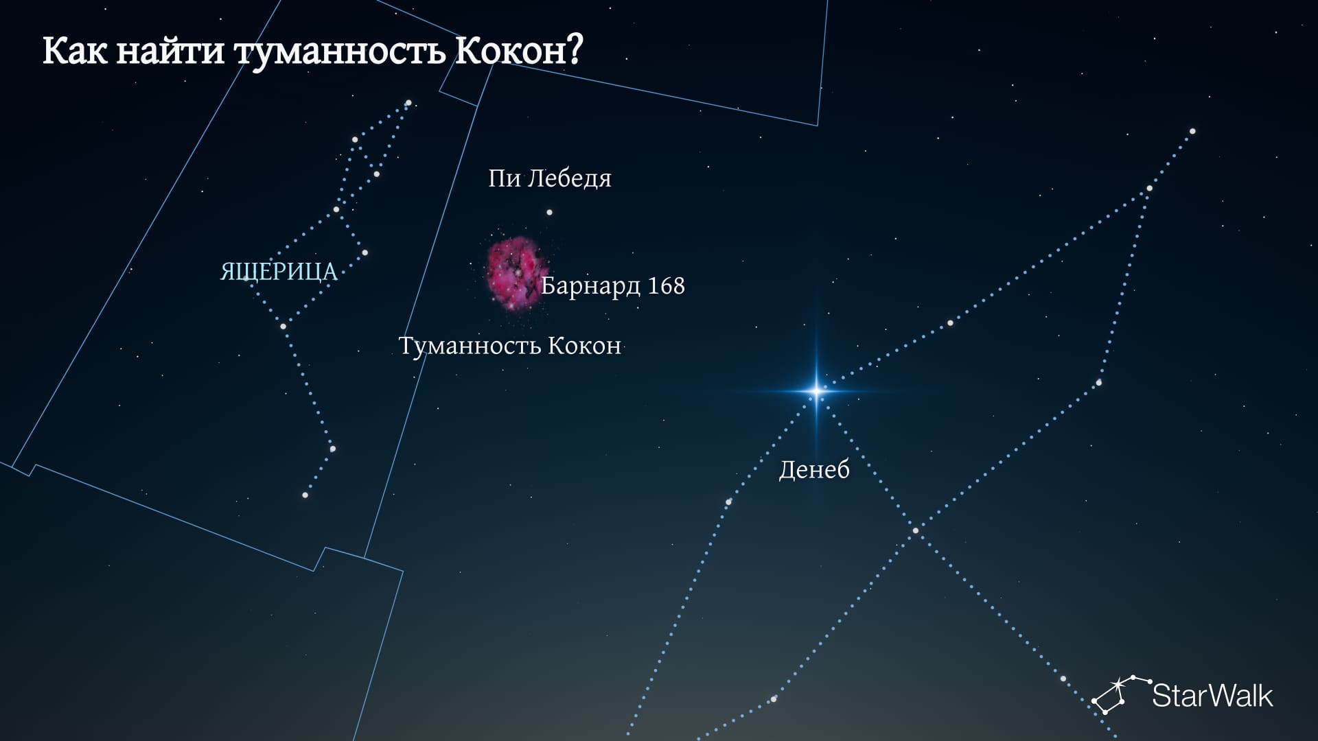 Туманность Кокон — как найти