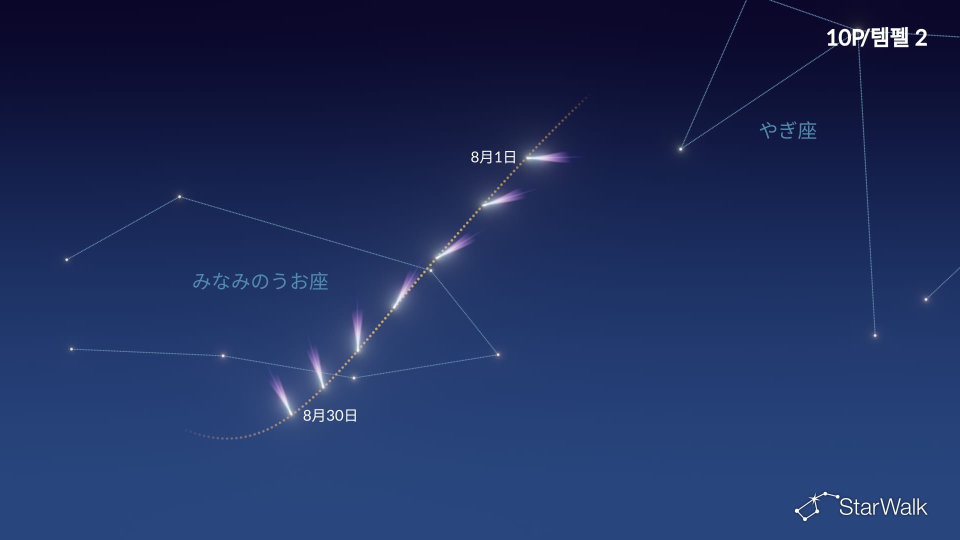 テンペル第2彗星の見つけ方星図：2026年8月