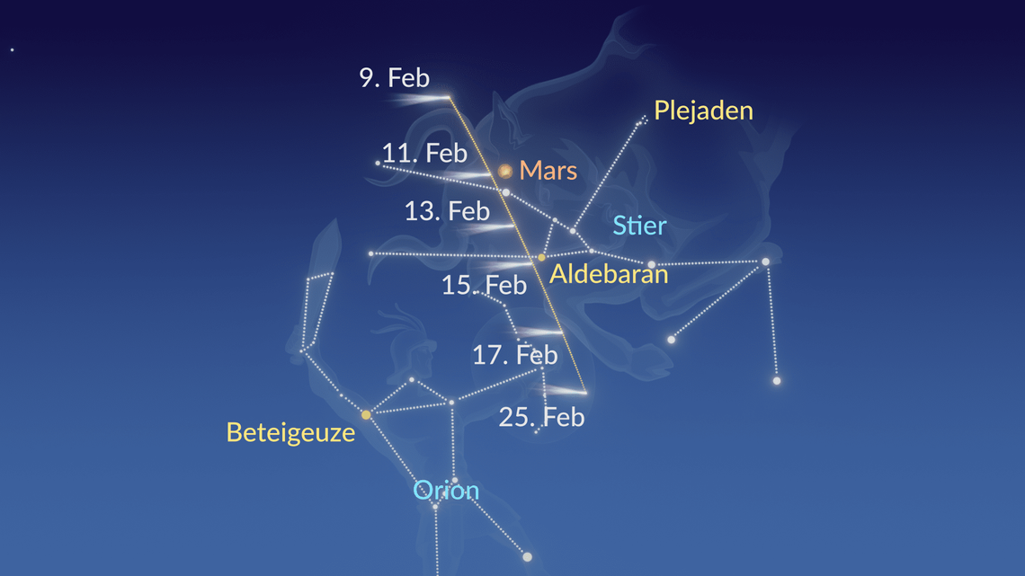 Komet Februar 2023 Komet heute über Deutschland sichtbar Wo ist