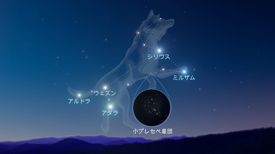 シリウス 星 | シリウス なぜ明るい | シリウス 見つけ方 | シリウス 星座 | 一番明るい星 シリウス