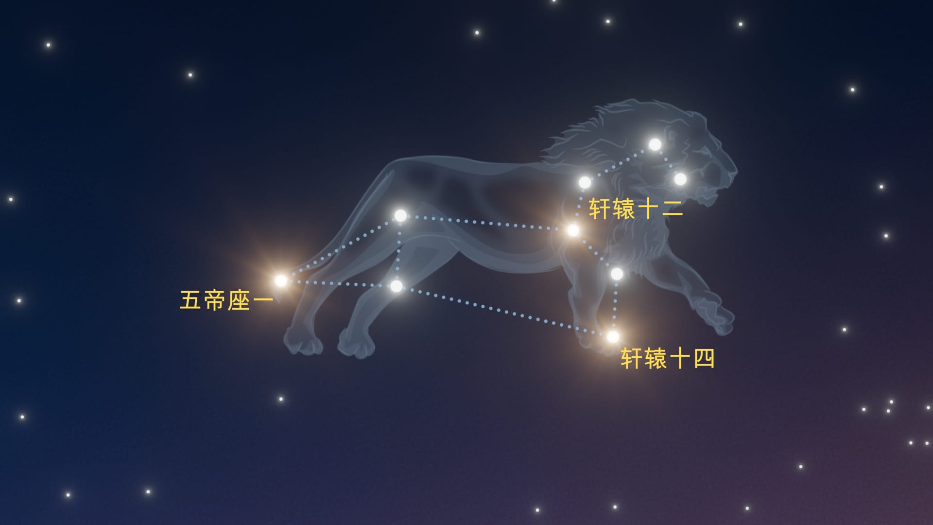 狮子座的亮星