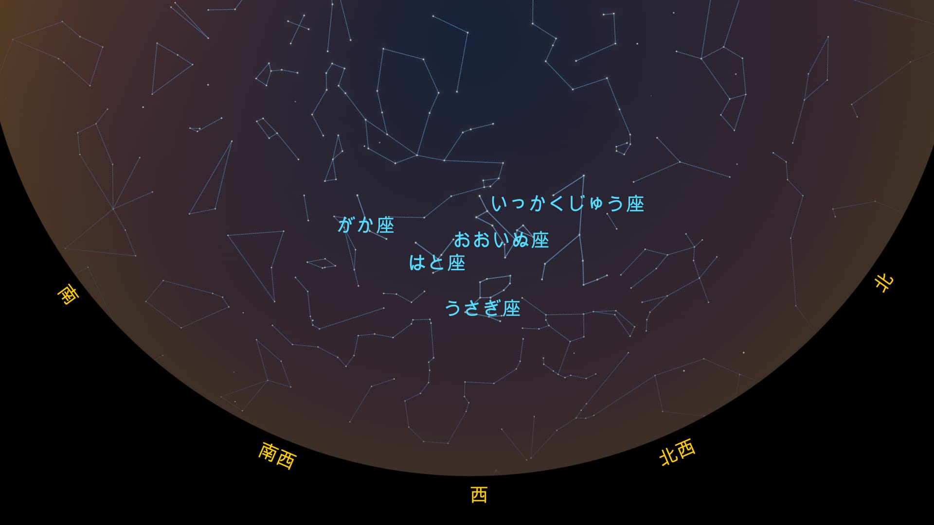 北半球の2月の星と星座