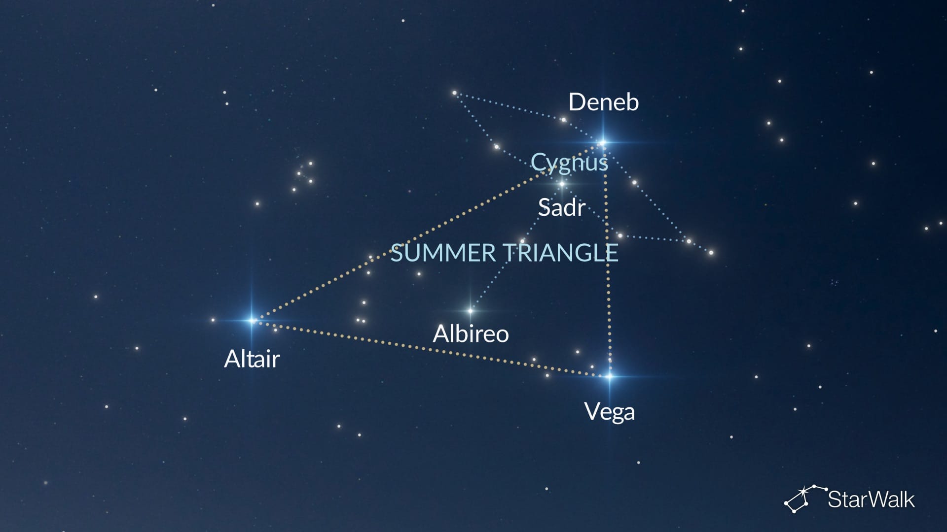 How to Find Cygnus in the Northern Hemisphere