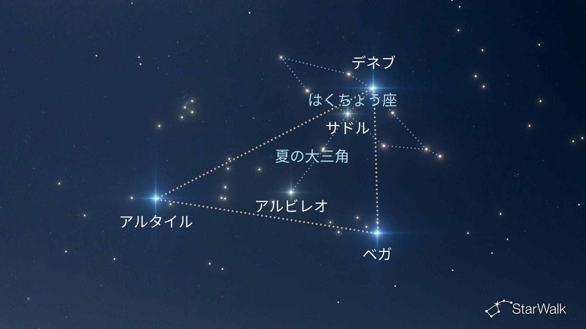 北半球ではくちょう座を見つける方法