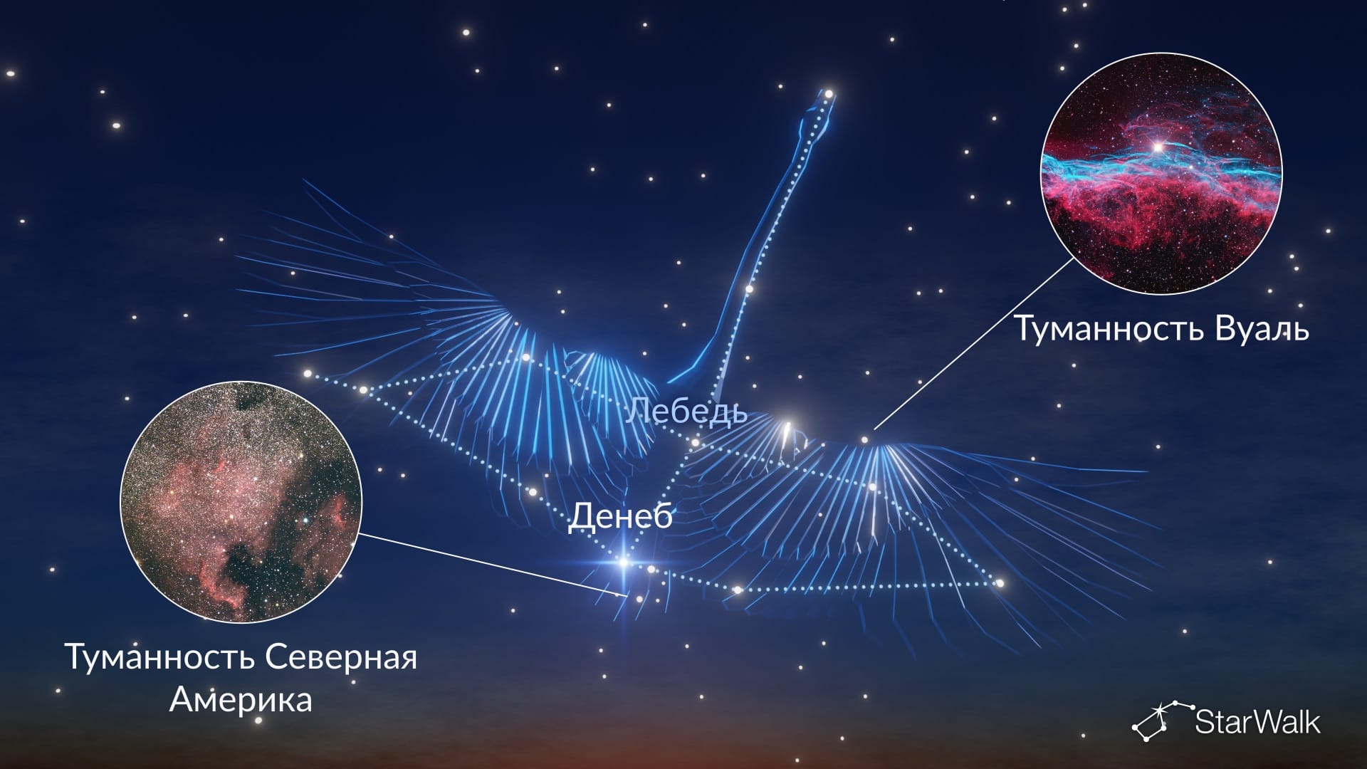 Созвездие Лебедь