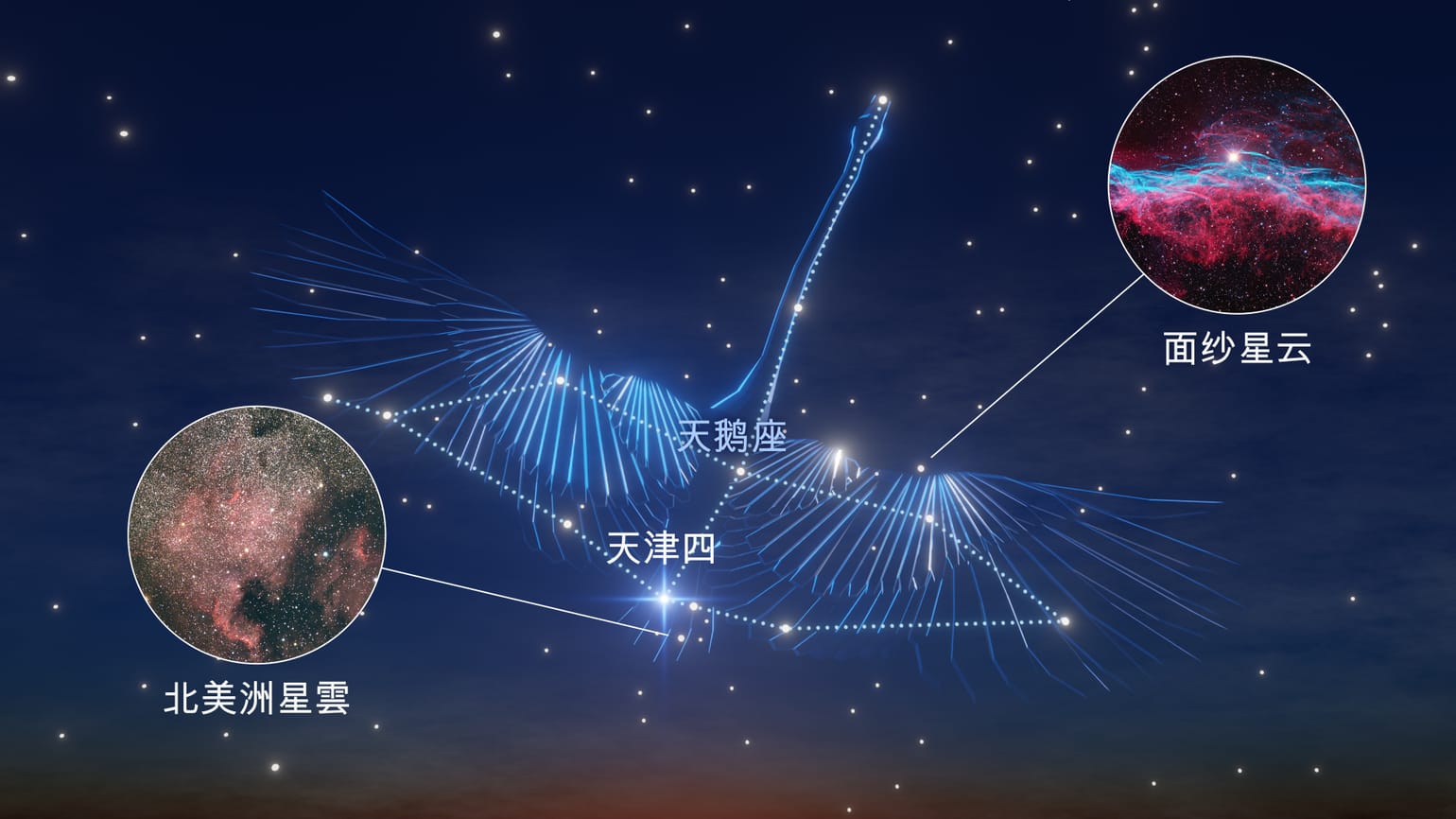 九月星座指南 — 星空观测必读 | 星座查找器 | 天鹰座、天鹅座、摩羯座 | 夜空观察
