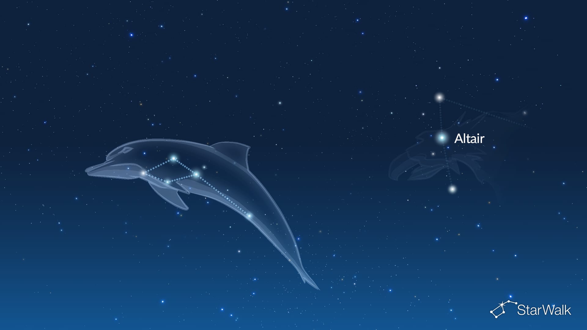 Delphinus Constellation