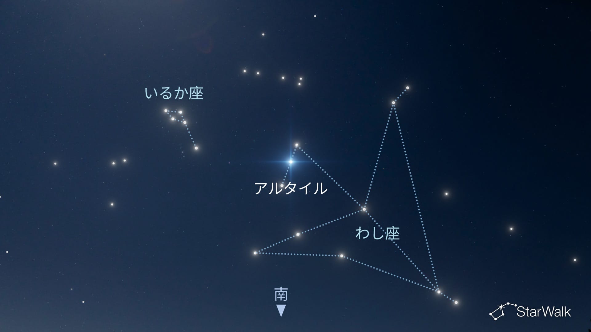 北半球でいるか座を見つける方法