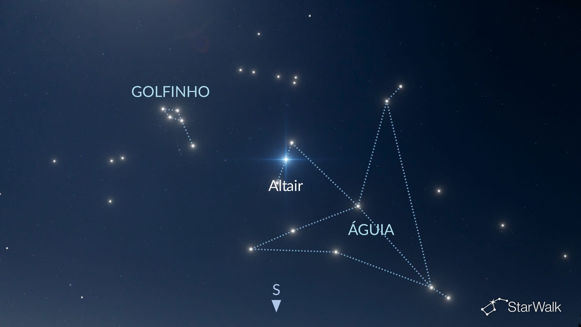 Como encontrar o Golfinho no Hemisfério Norte