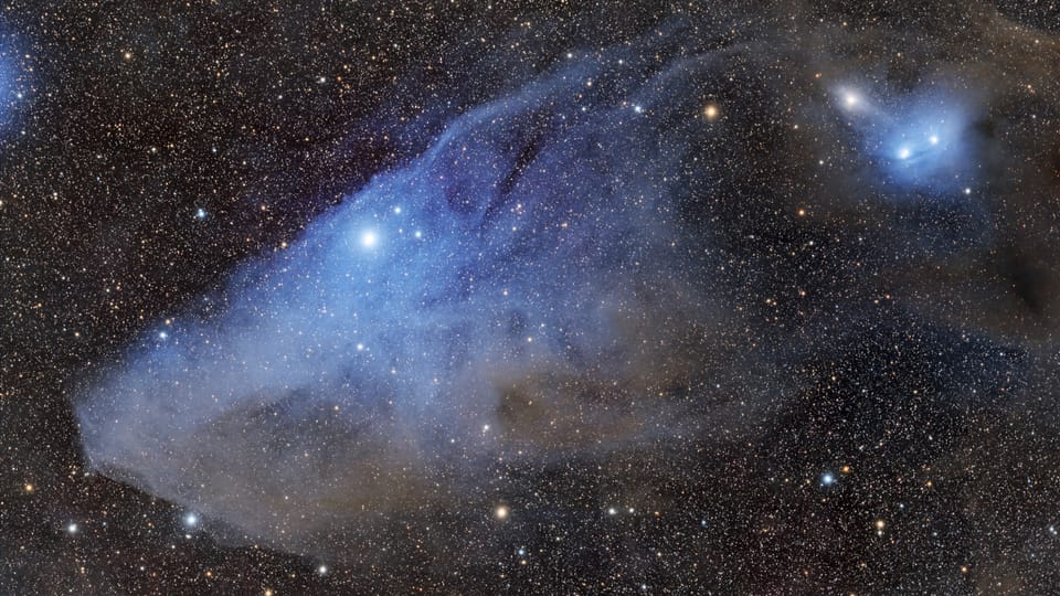 Constelaciones de caballos y Nebulosa Cabeza de Caballo | Caballos ...