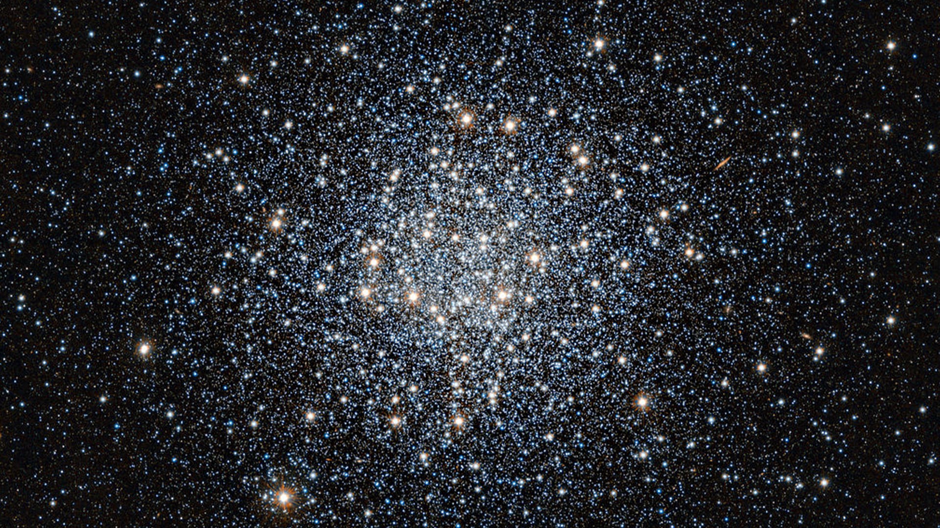 夏季玫瑰星團
