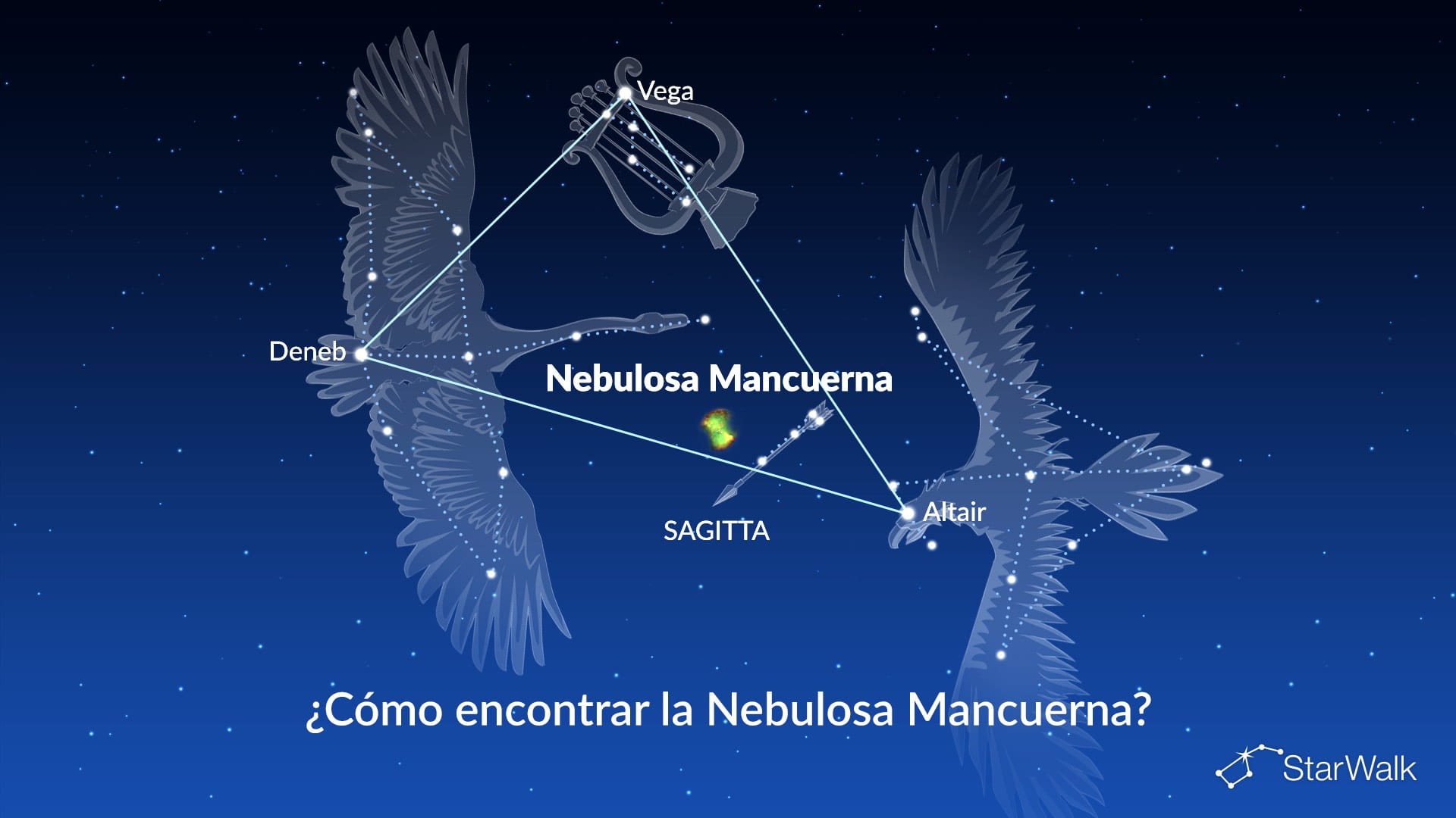 La Nebulosa de la Mancuerna: cómo encontrarla