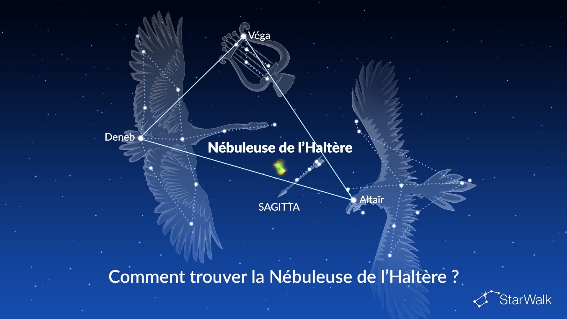 Nébuleuse de l’Haltère — comment la trouver