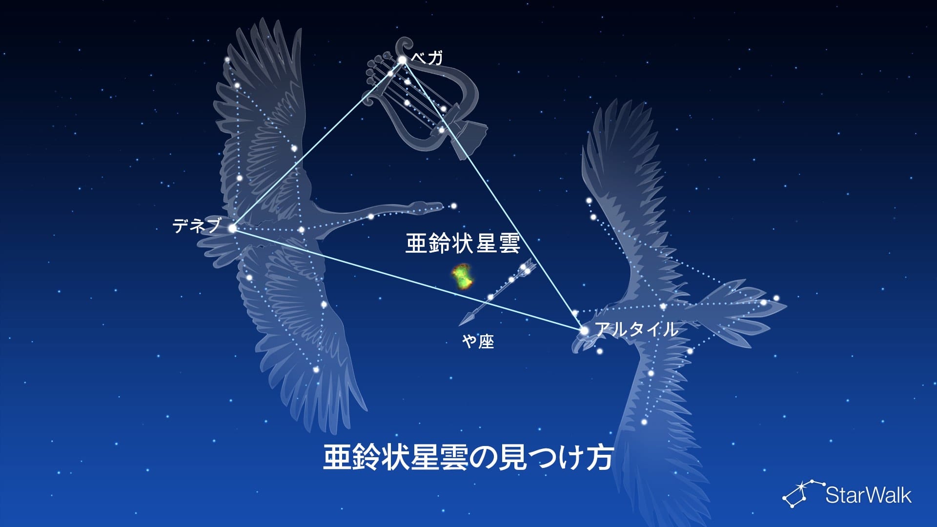 亜鈴状星雲の見つけ方