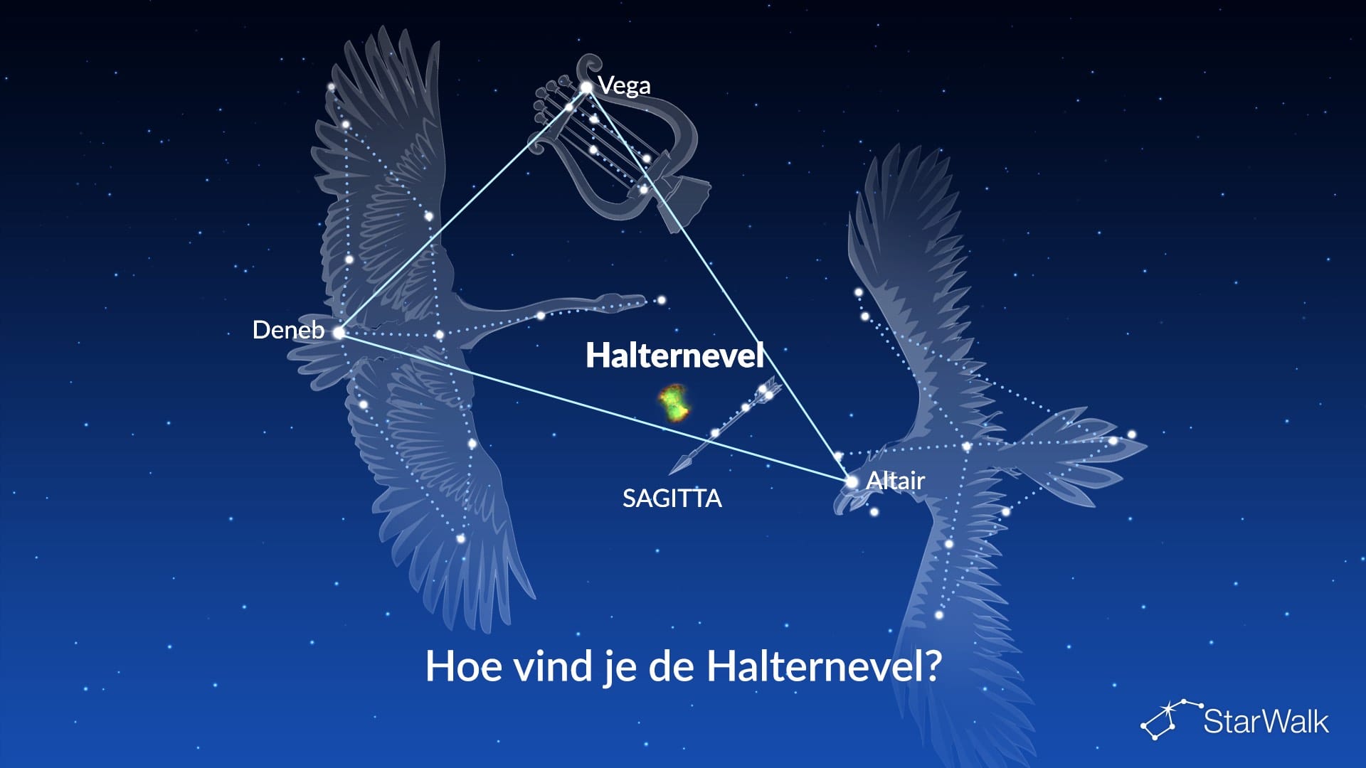 De Halternevel — zo vind je hem