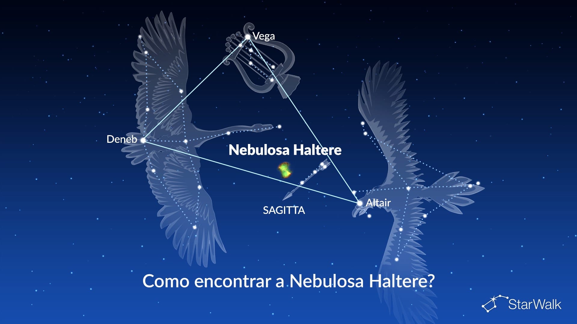 Nebulosa do Haltere — como encontrar