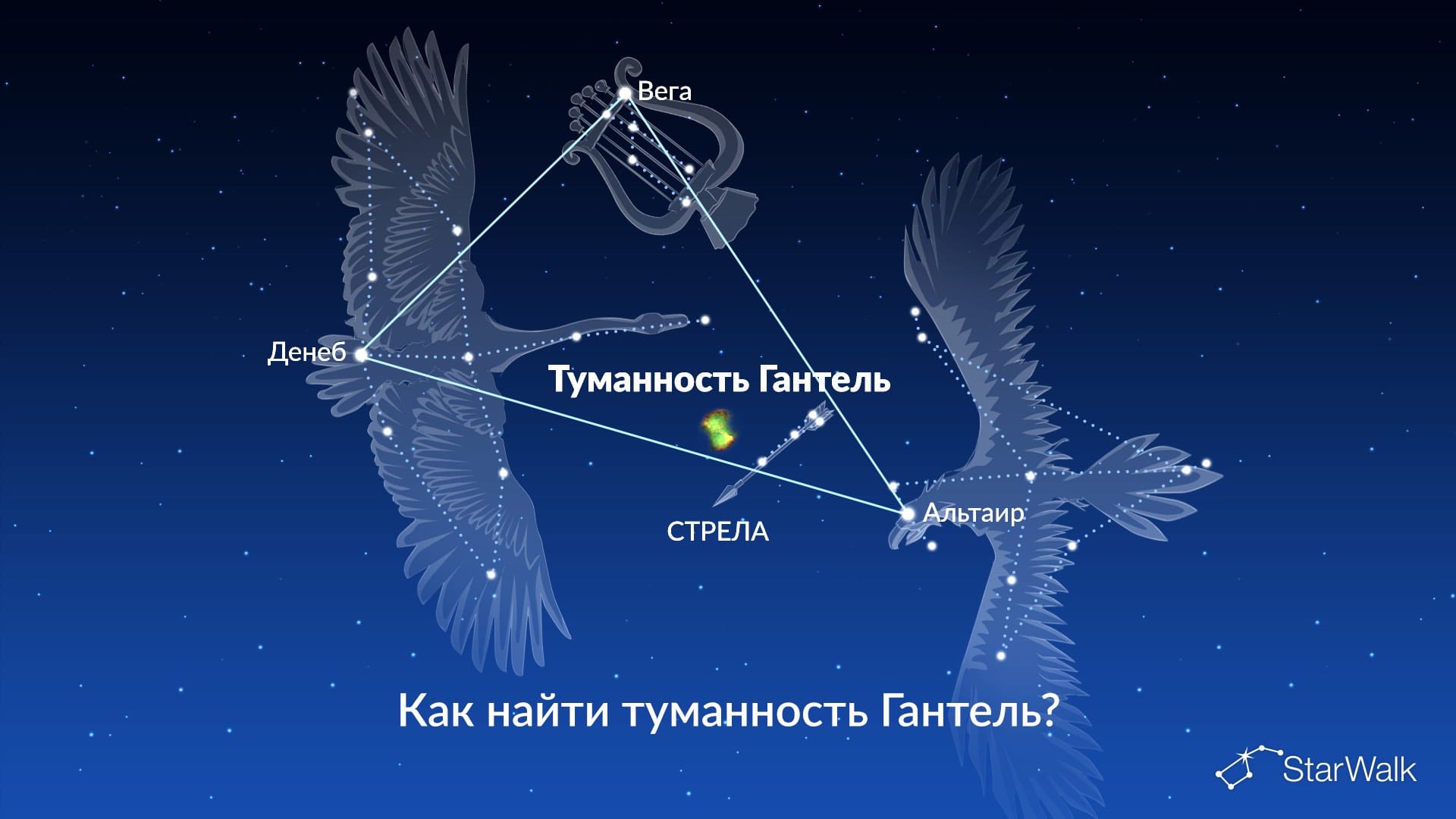 Туманность Гантель — как найти