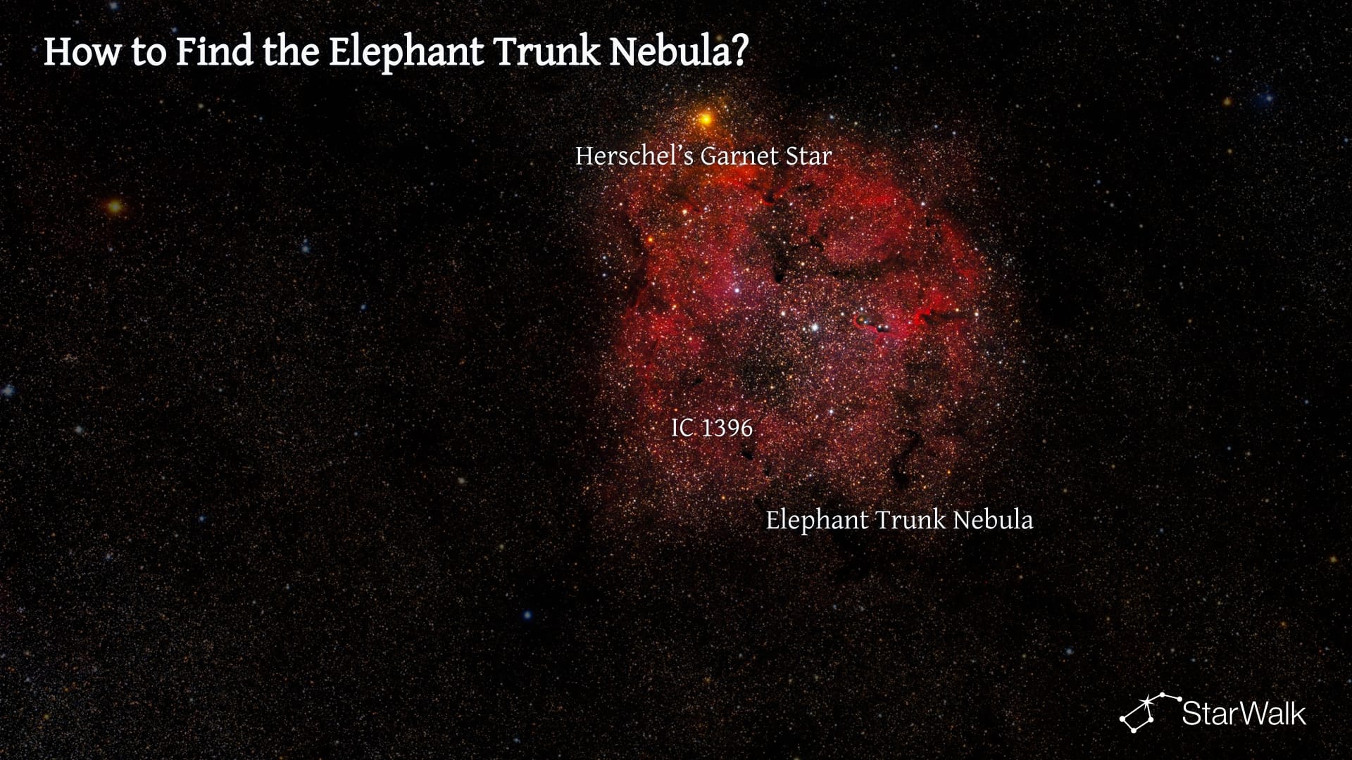 Elephant Trunk Nebula – How to Find