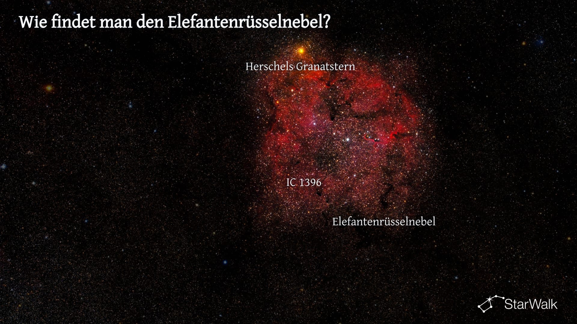 Elefantenrüsselnebel – So finden Sie ihn