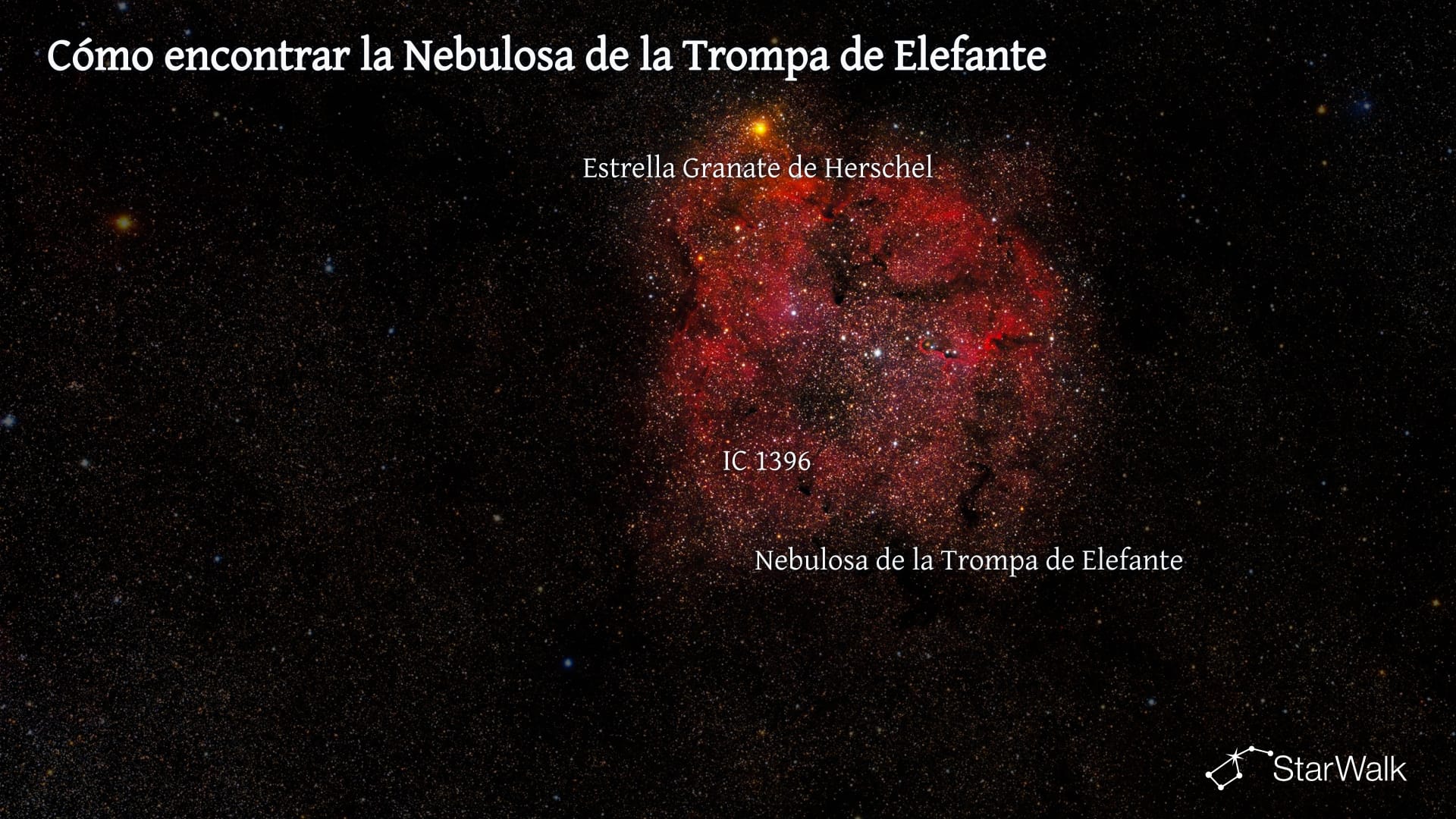 Nebulosa Trompa de Elefante: cómo encontrarla