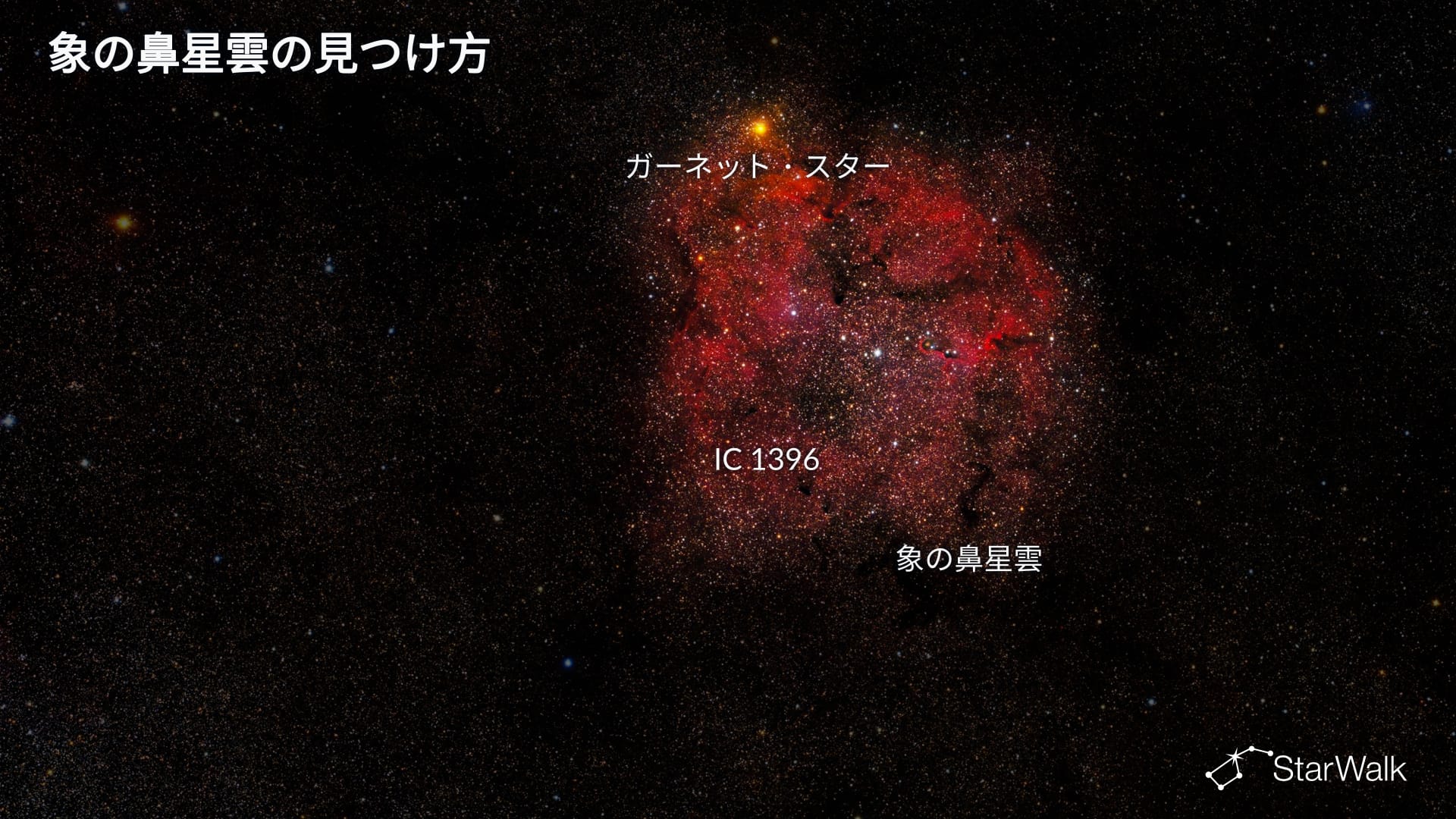 象の鼻星雲の見つけ方