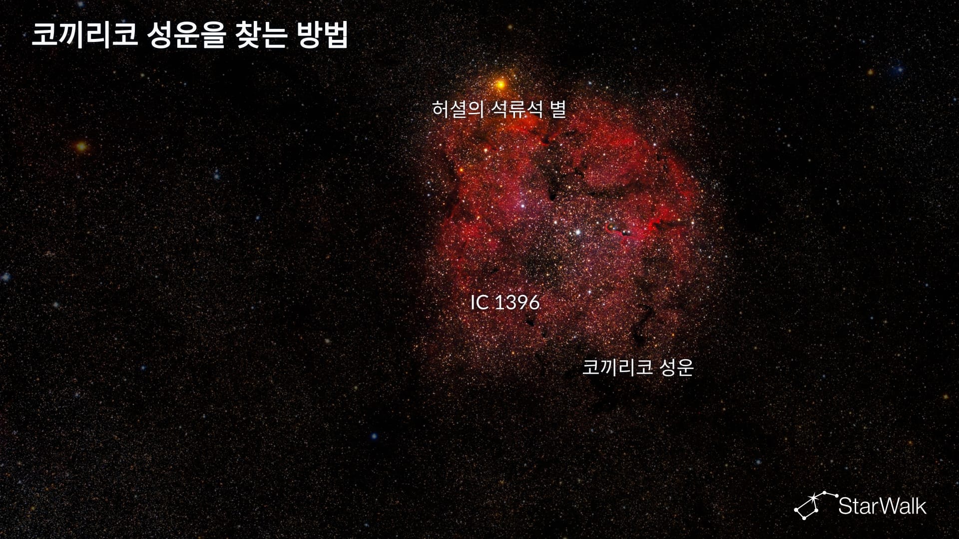 코끼리코 성운 – 찾는 방법