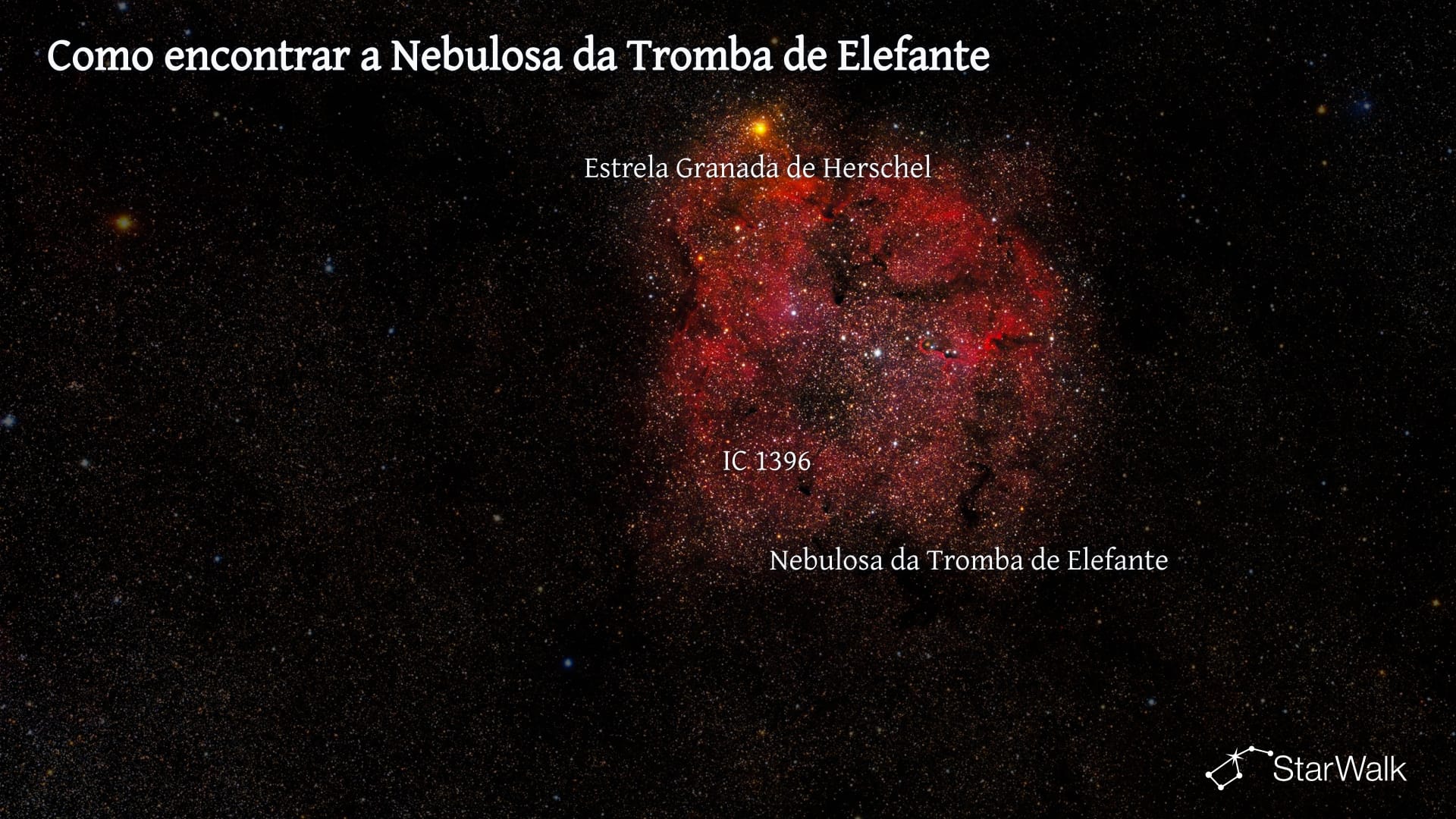 Nebulosa da Tromba do Elefante — Como encontrar