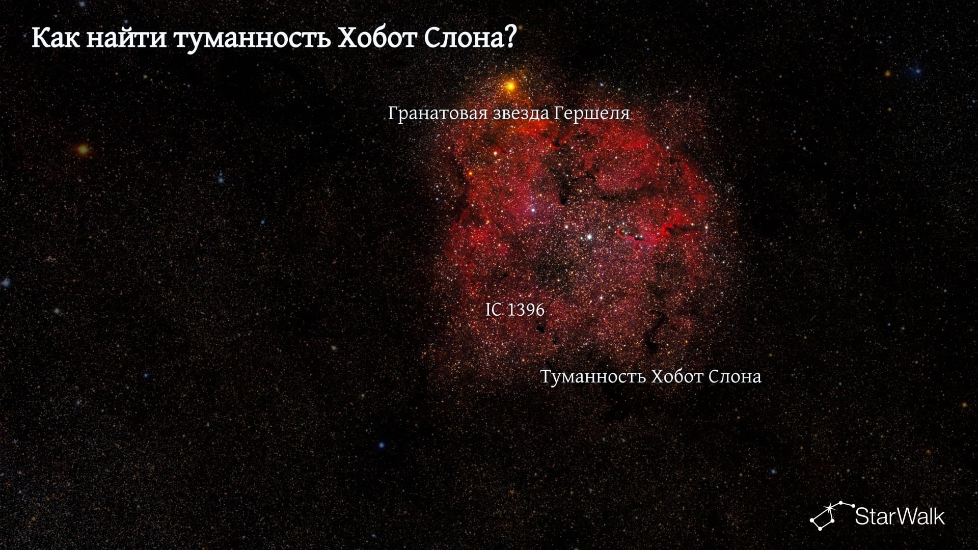 Туманность Хобот Слона — как найти
