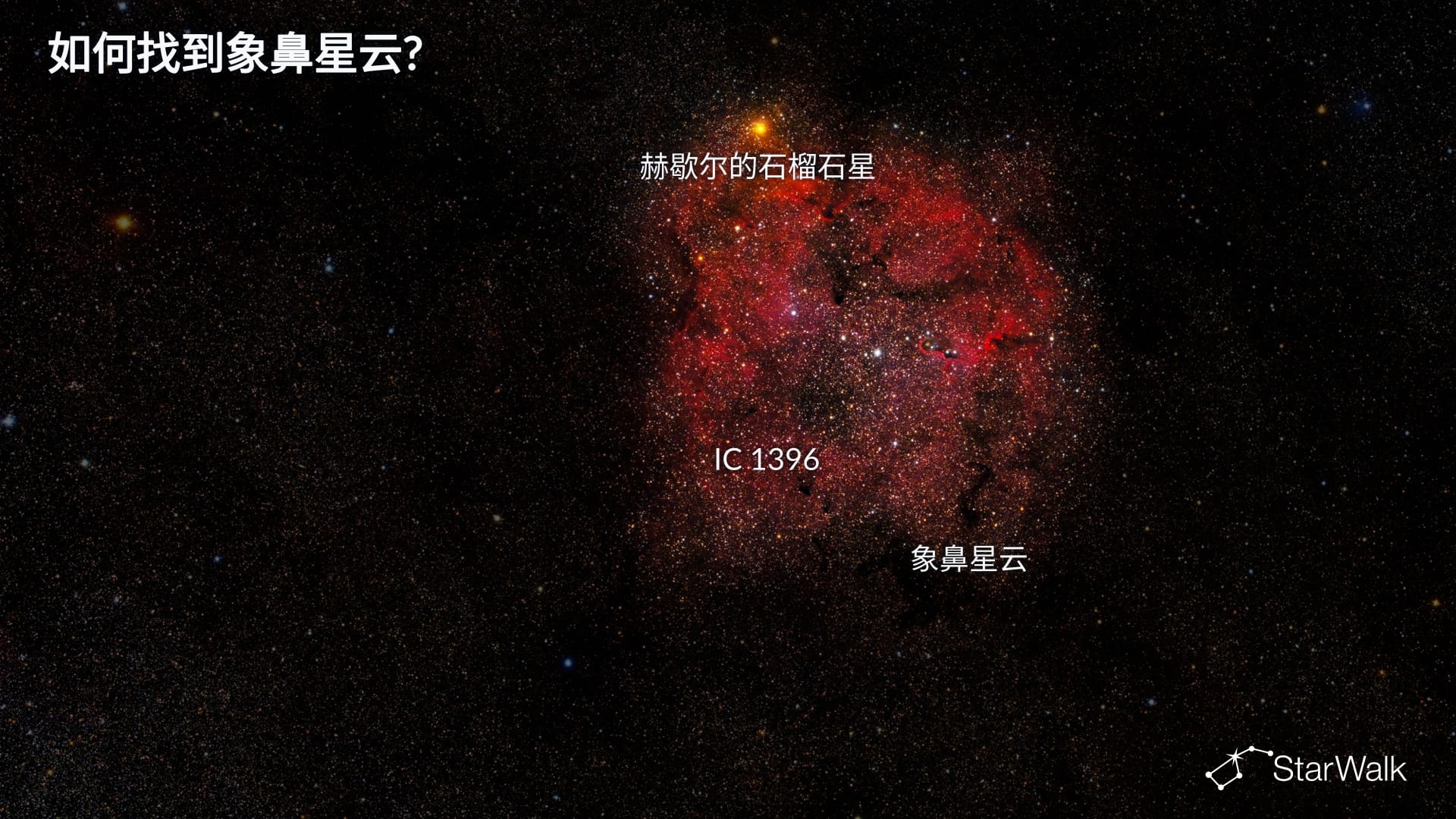 象鼻星云——如何寻找