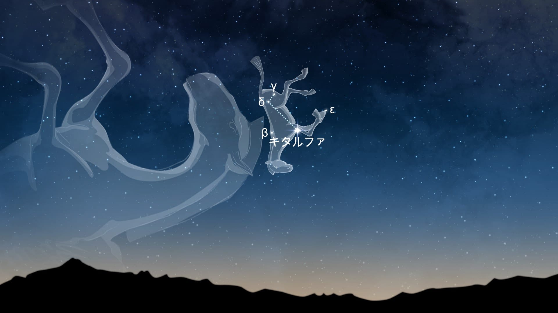 Equuleus Constellation