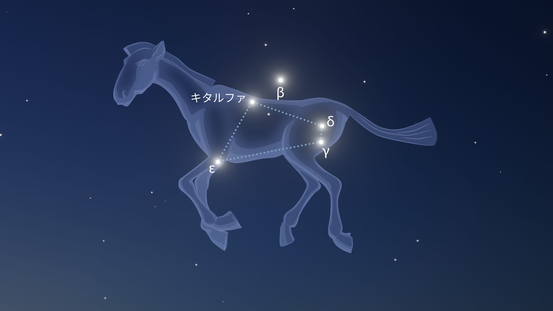 こうま座の恒星