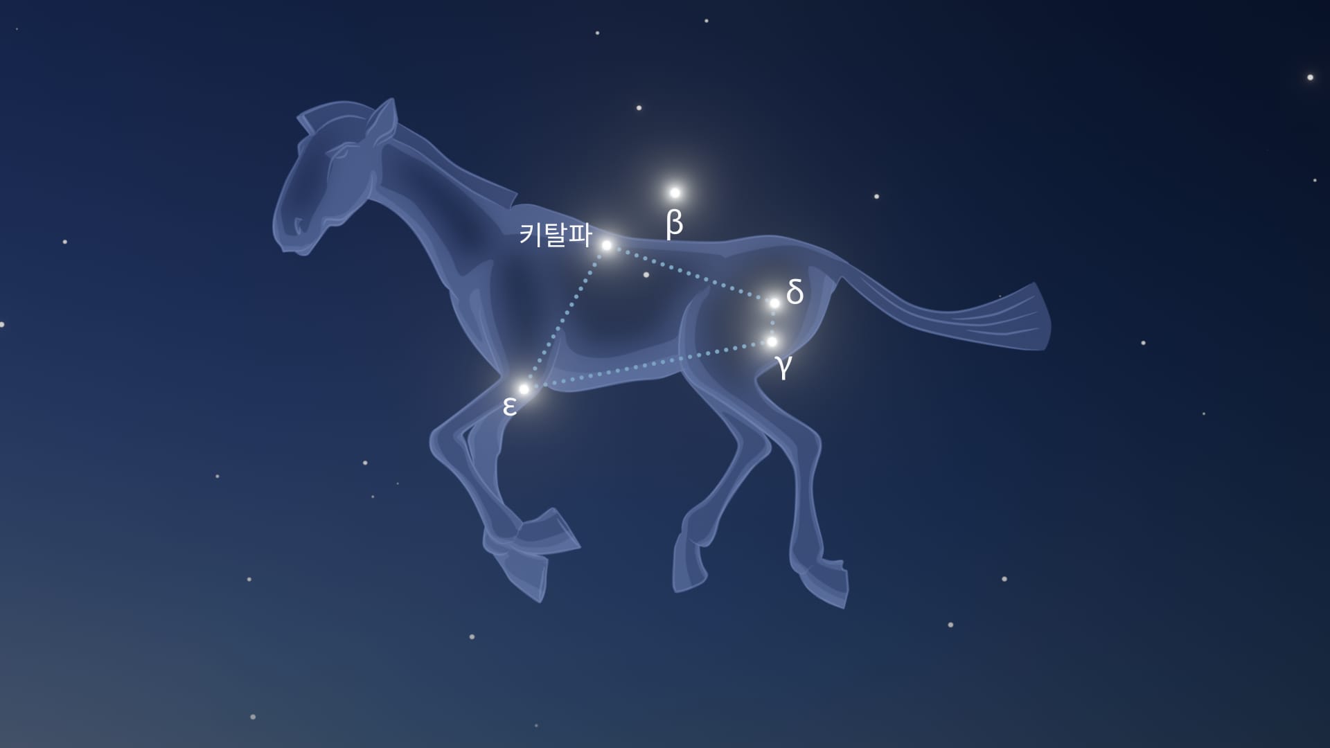 조랑말자리 별들