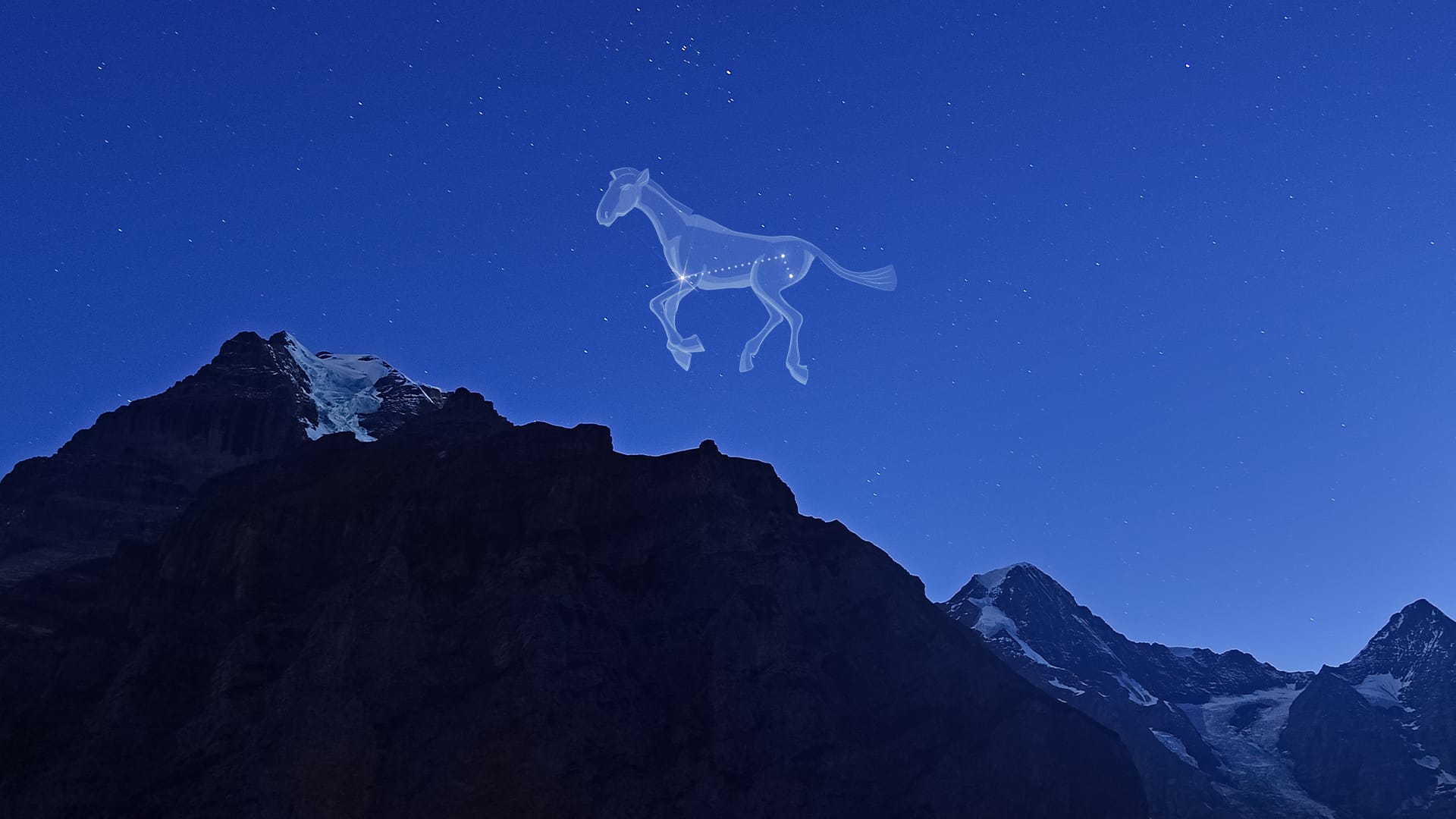 Equuleus – The Little Horse Constellation