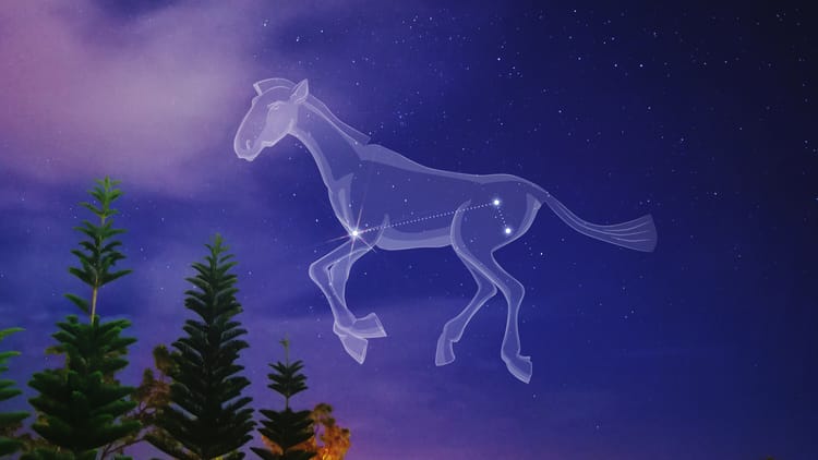 Datos de la constelación de Pegaso | Estrellas de Pegaso | Qué es ...