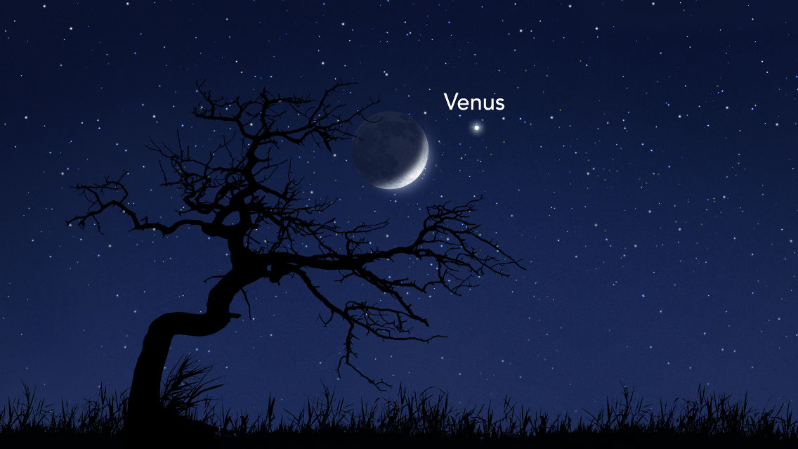 The Moon and Venus Grace the Sky When and How to See the Brightest