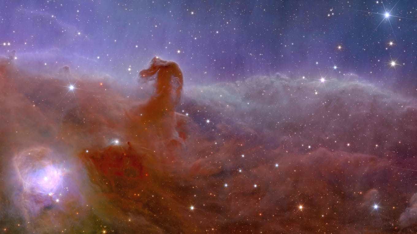 Constelaciones de caballos y Nebulosa Cabeza de Caballo | Caballos ...