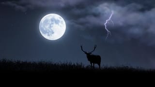Full Buck Moon