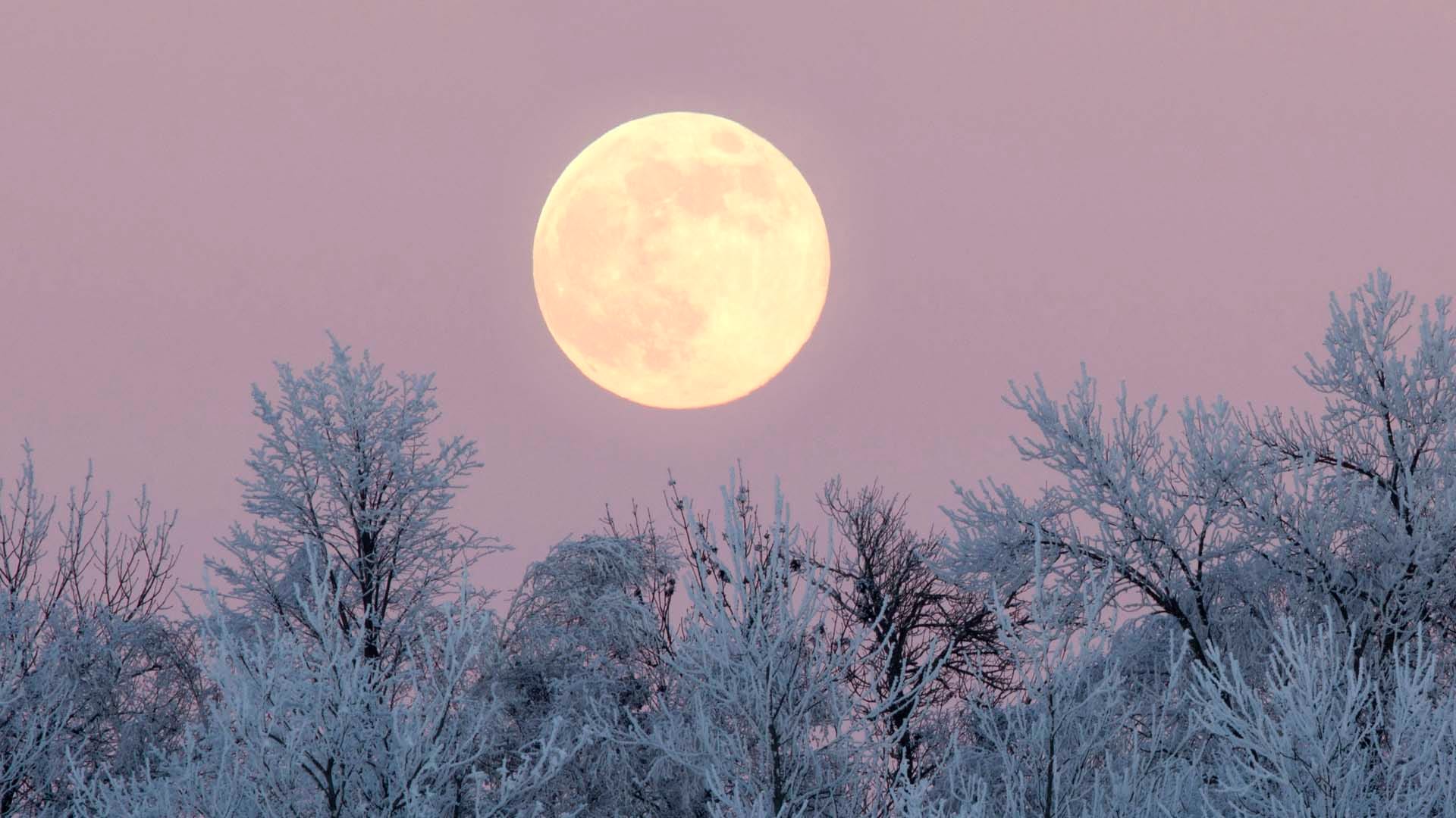 Full Cold Moon