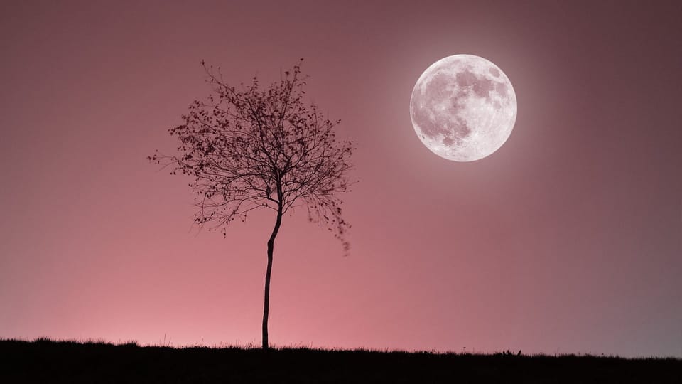 Full Moon April 2025 Pink Moon Meaning When Is April Full Moon