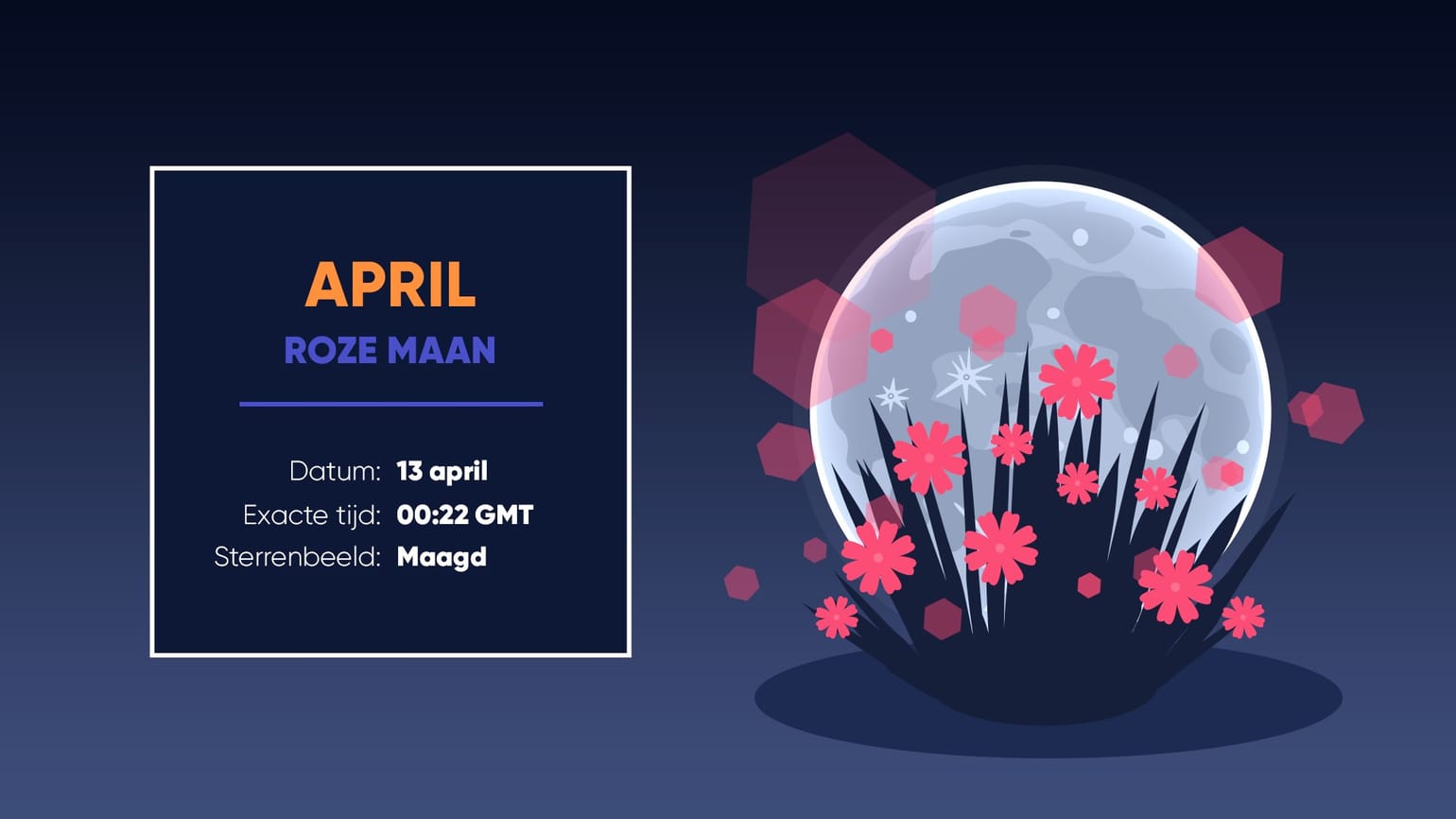 Volle Maan Kalender 2025 | Schema Volle Maan 2025 | Volle Manen 2025