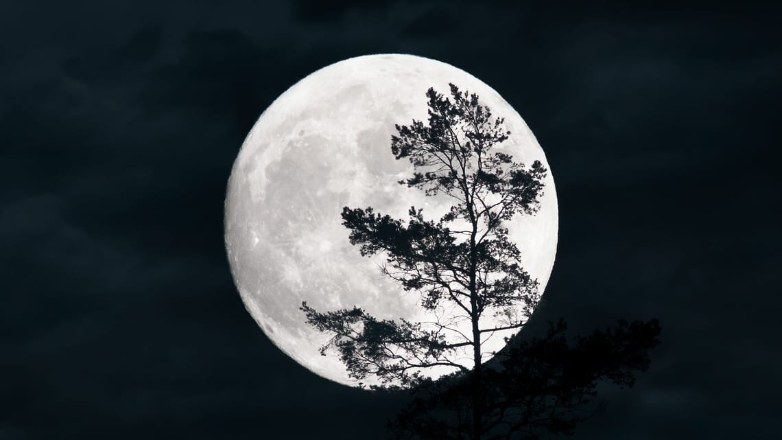 Full Moon January 2025 Usaa